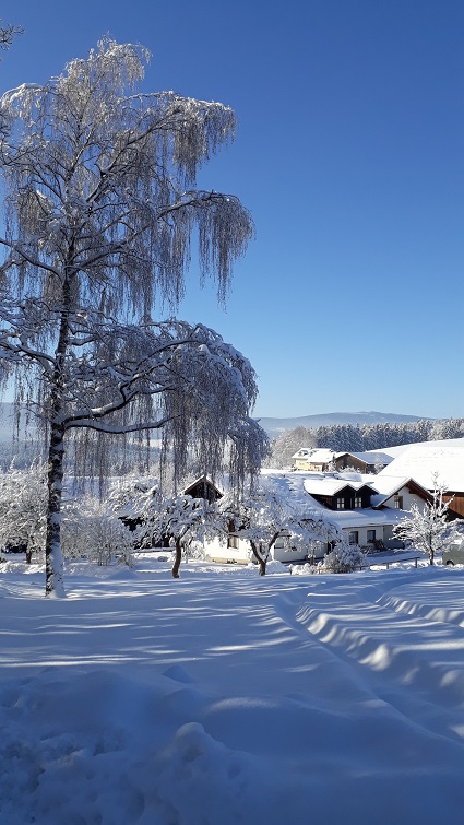 Bild "Urlaub pur:Winter_102515.jpg"