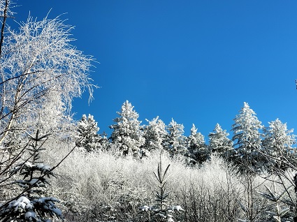 Bild "Urlaub pur:Winter_120948.jpg"
